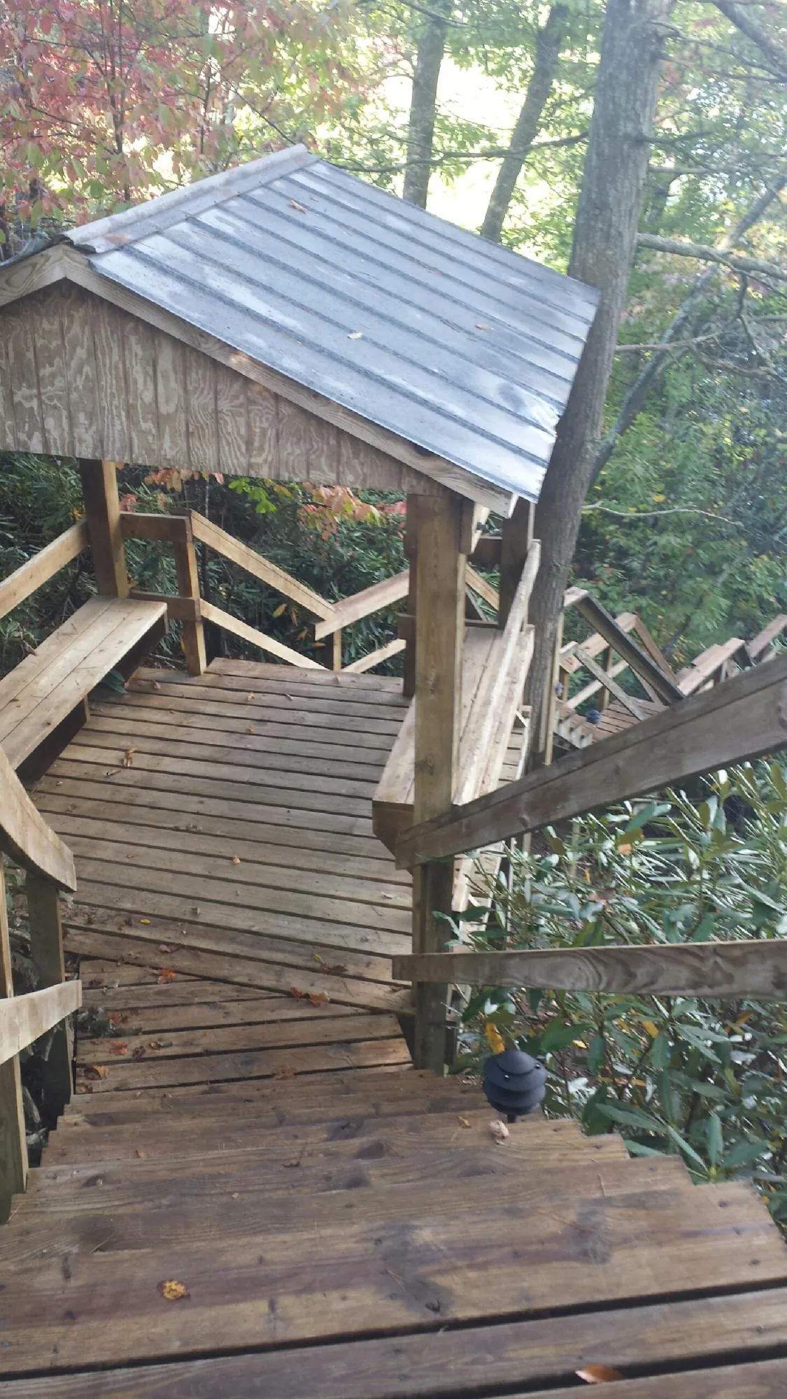 Metal roofed shelter over wooden steps on a wooded walkway — Skylight Repair & Installation work by our crew in Sasser